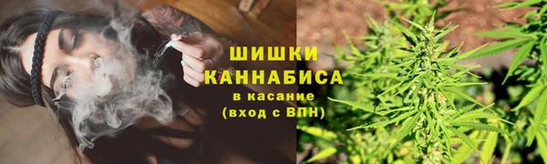 молекула духа Арсеньев