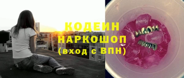 молекула духа Арсеньев