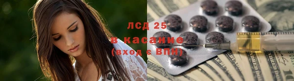 молекула духа Арсеньев