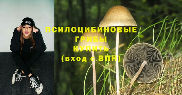 ECSTASY Аркадак