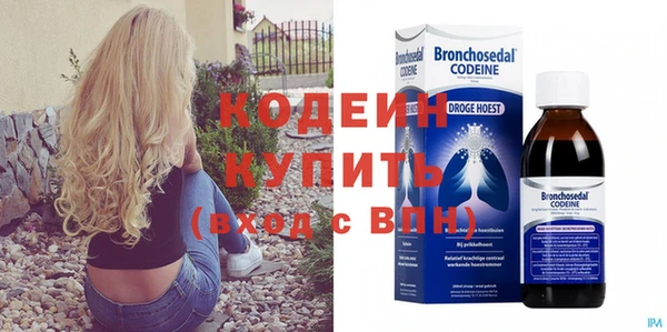 молекула духа Арсеньев