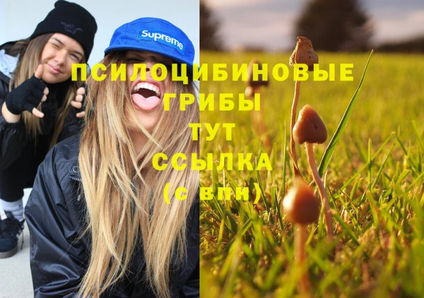 ECSTASY Аркадак