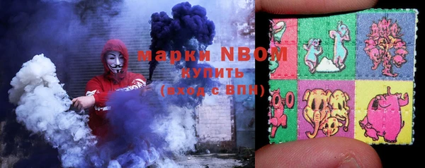 молекула духа Арсеньев