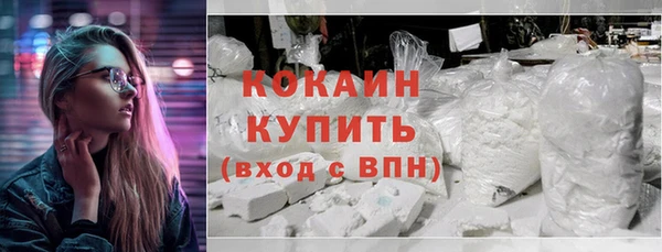 молекула духа Арсеньев